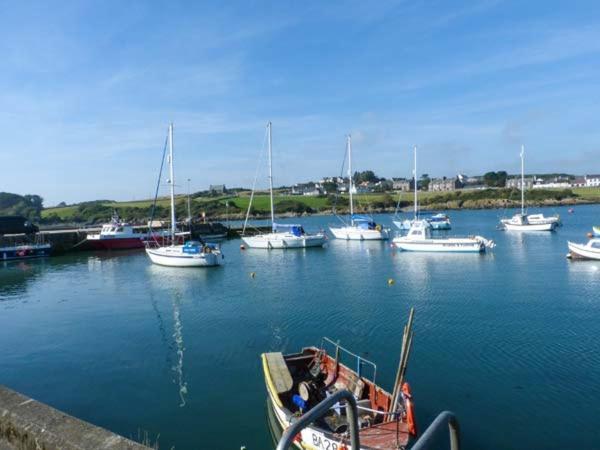 The Clamshell Apartment Isle of Whithorn Екстериор снимка